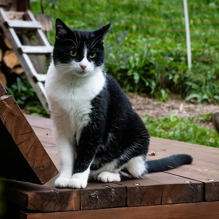 Elza * Lauterbrunnen