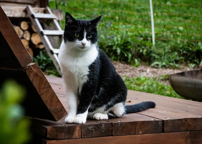 Elza * Lauterbrunnen